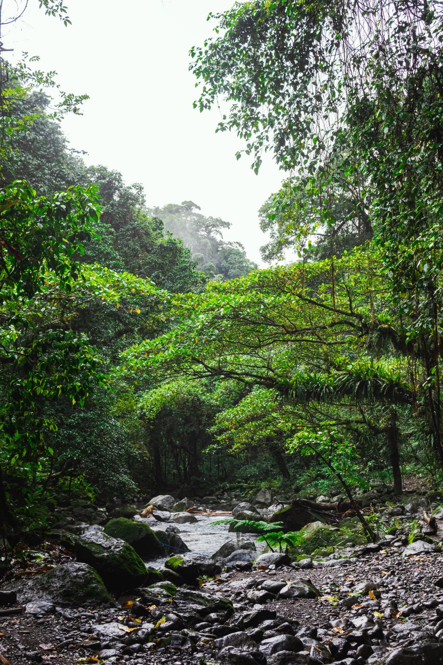 Aventuras naturais no Brasil